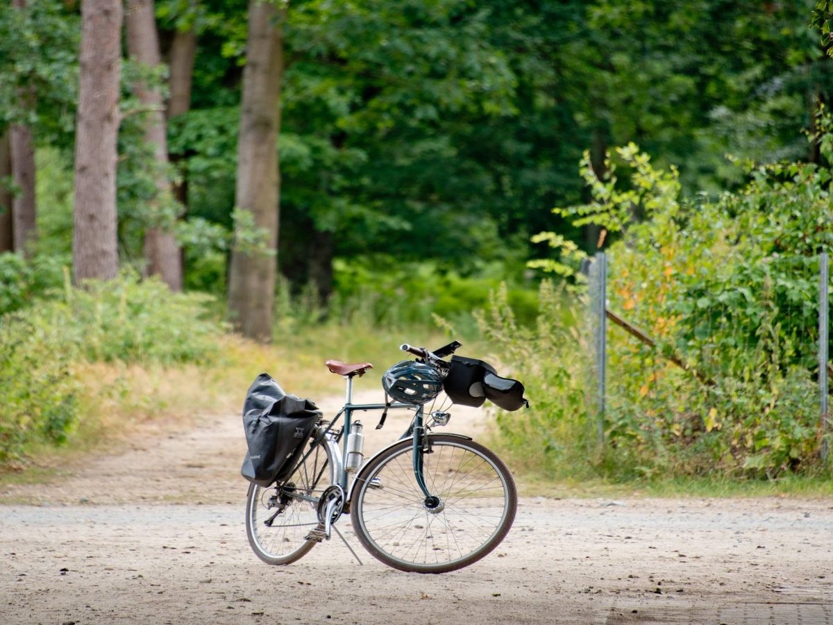 Fahrrad auf Waldweg