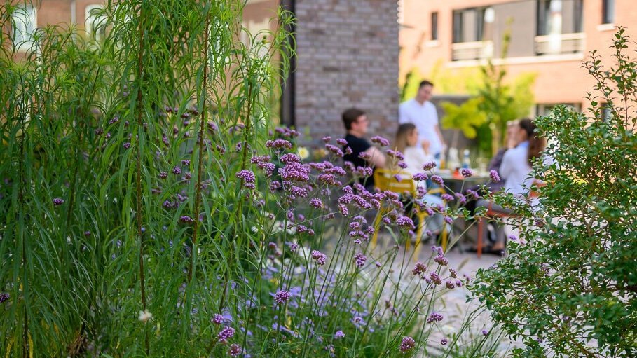 Hinter grünen Sträuchern sitzt eine Gruppe vor einem Gebäude und tauscht sich aus. 