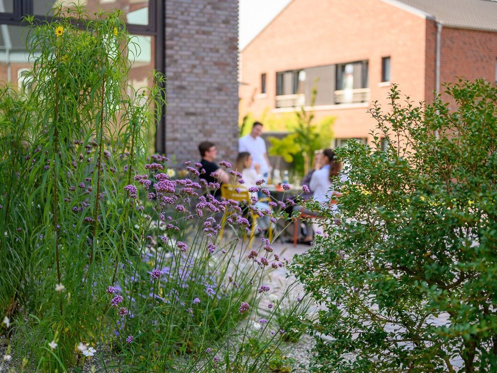 Hinter grünen Sträuchern sitzt eine Gruppe vor einem Gebäude und tauscht sich aus. 