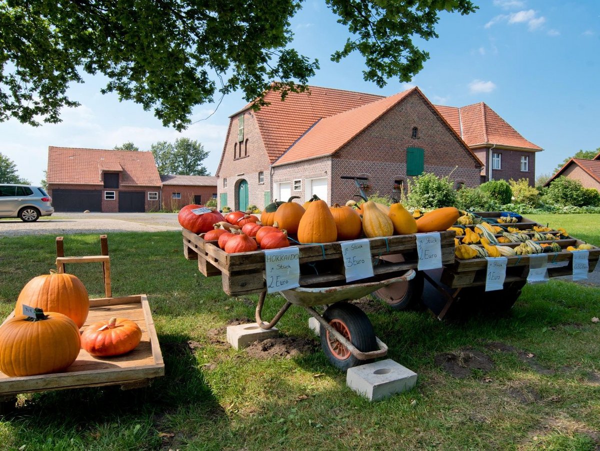 Kürbishof im Münsterland